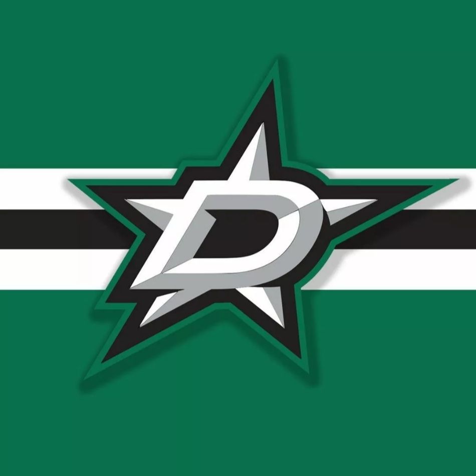 Dallas Stars Ice Hockey Team